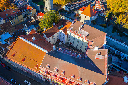 爱沙尼亚塔林红屋顶图片