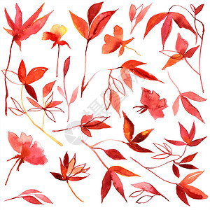 一套水彩手绘秋叶背景图片