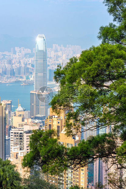 香港天际的著名城市景色在香港图片