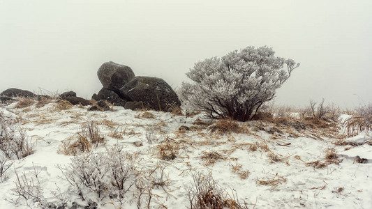 雪覆盖了沿吉里山足迹的冰冻地貌图片