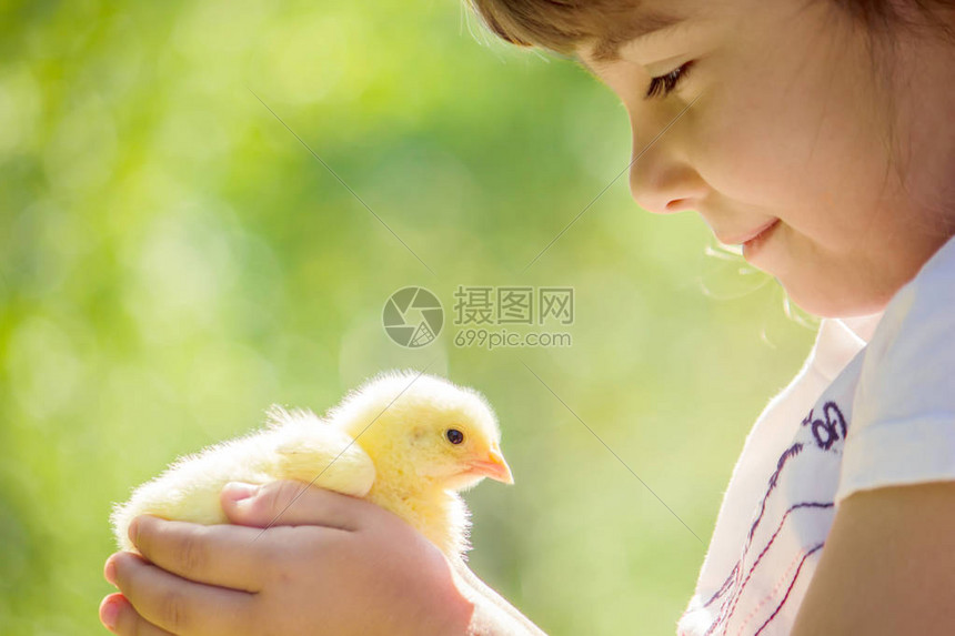 孩子手里握着一只鸡女孩和鸟有