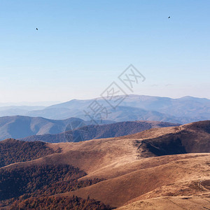 梦游仙境乌克兰公园Borzhava山脊上的喀尔巴阡山背景