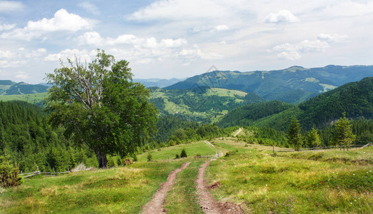 梦游仙境喀尔巴阡山脉的山坡青山的风景背景