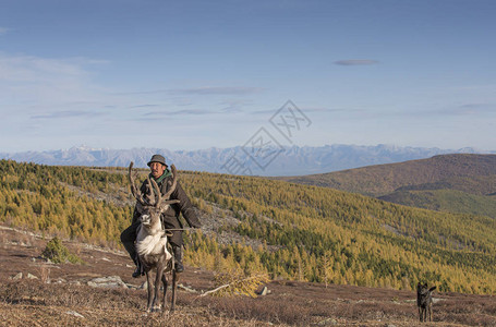 蒙古北部泰加图片