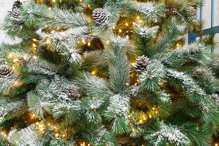 卡通圣诞树圣诞树节日圣诞魔法和美丽蓬松的树枝背景