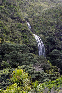 新西兰奥克兰附近的沃德凯雷山脉区域公园的KarekareFal图片