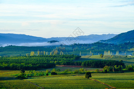 的乡村景色在山的美丽的夏天风景日出图片