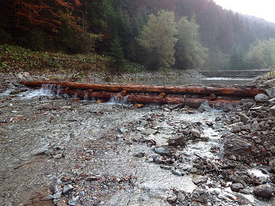 山河上的伍德大坝漂浮木材的传统结构小溪图片