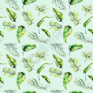 绿色水彩绿色热带异国树叶和幼枝无缝图案图片