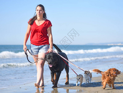 在沙滩上散步的女人和狗背景图片