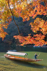 日本京都沿河的秋季岚山美丽的自然景观岚山是日本京都旅游的图片