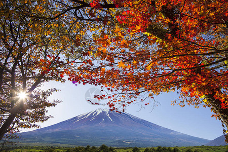 日本河口湖日出时的秋天富士山富士山图片