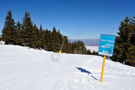 在山上度冬假滑雪太图片