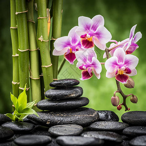 与禅宗玄武岩石兰花和竹子的温泉静物画图片