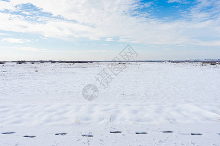 新的雪地和雪图片