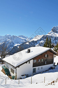 瑞士Braunwald度图片