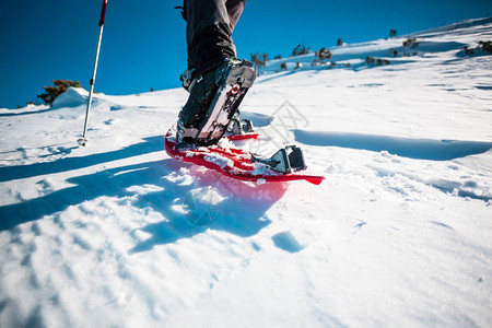 澳门威斯尼斯app官方网站官网安卓版