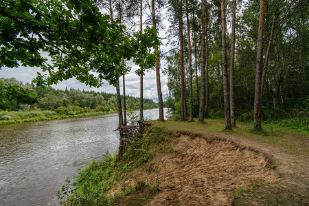 美丽的乡村风景在Latvia的自然图片