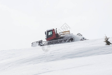 自由式滑雪板图片