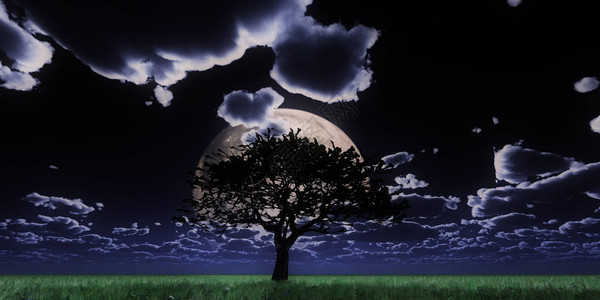 树夜满月图片
