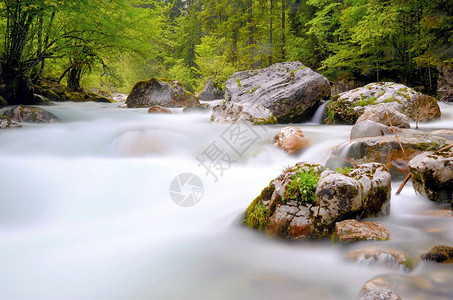 流水与石头和树木景观图片