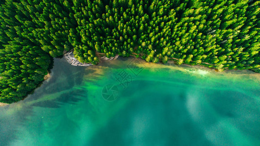 黑山黑湖晴朗夏日的蓝湖和绿色森林鸟瞰图图片