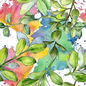 水彩黄杨木绿叶植物园花卉叶子无缝背景图案背景纹理包装图案框架或边图片