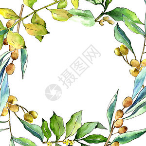 水彩毛竹绿叶植物园花卉叶子框架边框装饰广场背景纹理包装图案框架或边图片