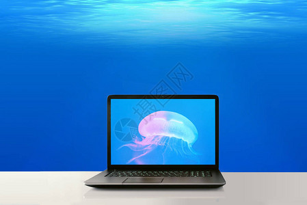 海洋桌上的屏幕上装有果冻鱼图片