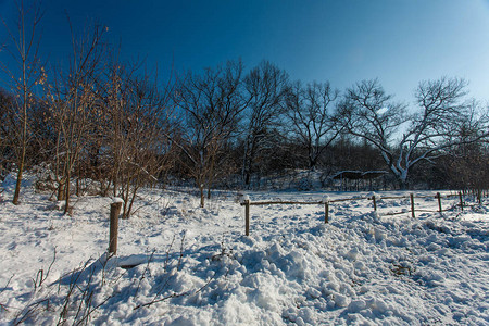 冬季在寒冬的阳光日落下雪时图片