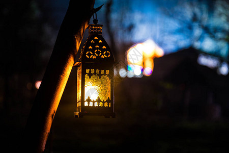 雾蒙蒙的夜晚花园里美丽的彩色照明灯复古风格的在夜间户外选择聚焦图片