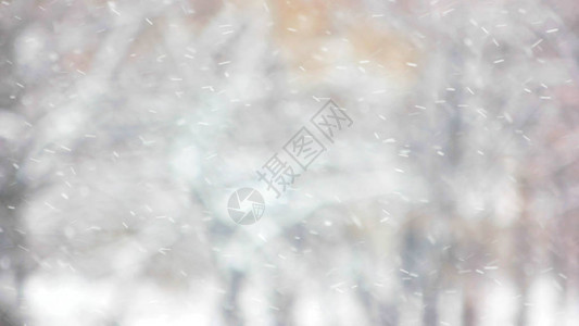 模糊的冬季背景与飘落的雪花大雪与模糊的黑树在背景中冬图片