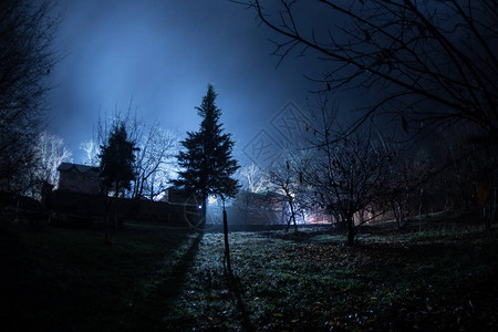 晚上在森林里有鬼魂的老房子或者在雾中被遗弃的鬼屋死树森林里的旧神秘建筑夜晚有月亮的树超现实的灯光恐怖万圣节概念图片