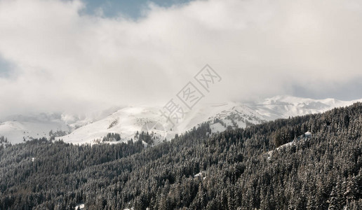 瑞士达沃斯附近的瑞士阿尔卑斯山脉白雪覆图片