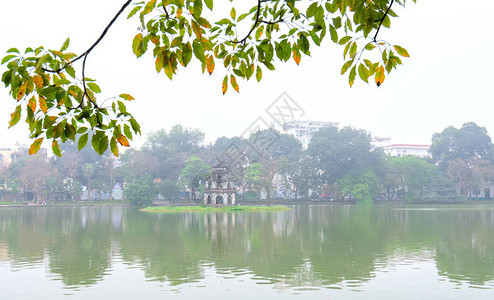在越南河内首都HoanKiem湖的HoanKiem树苗中图片