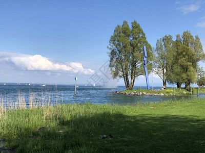 克罗伊茨林根的康斯坦茨湖或博登湖图片