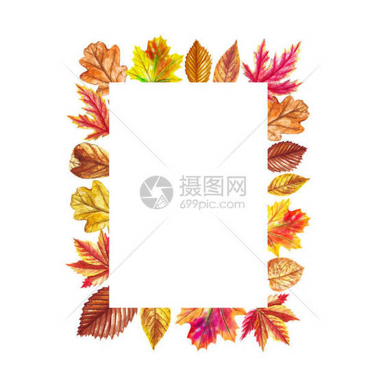 水彩秋天框架与孤立的白色背景上的叶子贺卡婚礼请柬花卉海报和图片