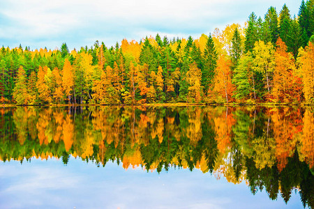 美丽的秋天风景湖中秋天森林的倒影背景图片