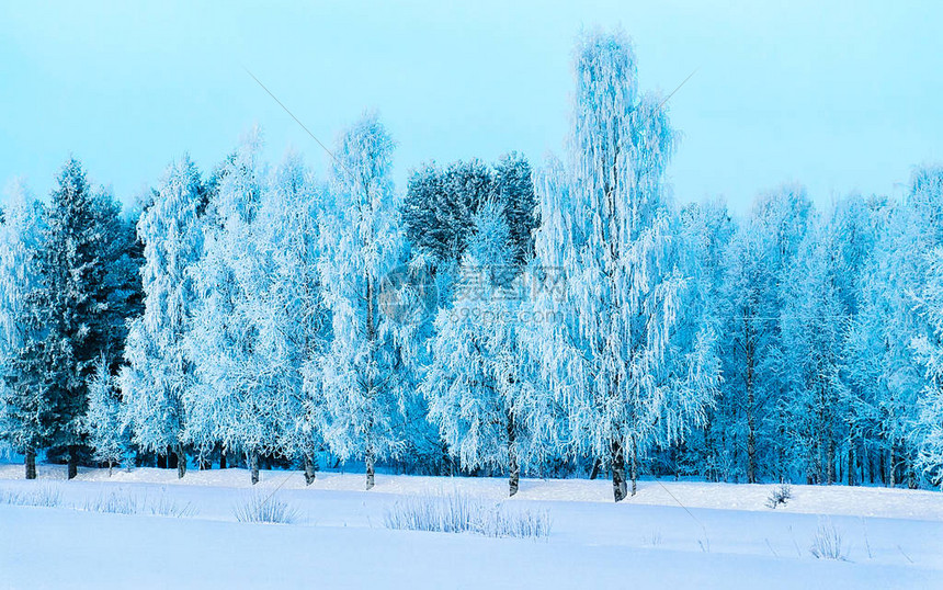 有雪的冬天路在芬兰欧洲拉普兰景观骑行期间沿高速公路的森林白雪皑的旅行冷车道在北罗瓦涅米村的芬兰高速公路上行驶图片