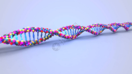 DNA结构的数图片