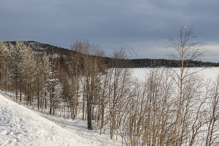 雪地的风景有雪车的痕迹图片