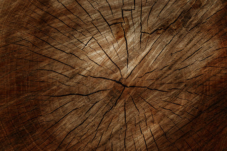 老木树切面被砍伐的树干或树桩的详细温暖的深棕色调树木年轮的粗糙有机质地背景图片