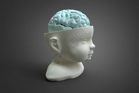 孩子的头部和大脑模型可用于许多科学和医学领域的概念图片