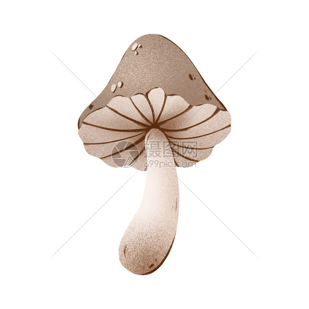 蜂蜜蘑菇秋季可爱的数字纹理艺术打印卡片海报横幅贴纸网页织物纺织品包装纸盒子菜单装图片