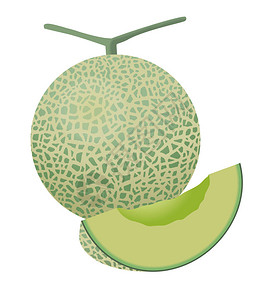 瓜的插图浅绿色白色背景图片
