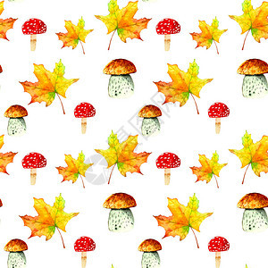 蘑菇飞木耳白蘑菇和枫叶的水彩秋季无缝图案非常适合庆祝丰收包装纸传单餐图片
