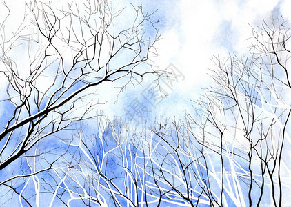 水彩冬季景观蓝天上的树枝剪影透过树梢的蓝天艺术绘画图片