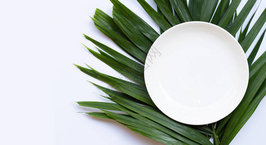 热带棕榈树叶上白色背景的空白陶瓷图片