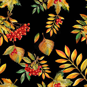 五颜六色的秋叶背景无缝图案水彩风格背景数码图片