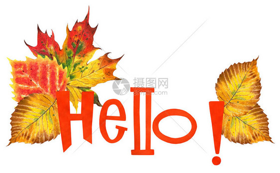 橙色文本你好与秋叶枫树橡树榆树和白桦树叶秋天的插图在白色背景图片